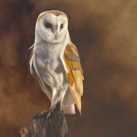 The-Lookout_Rachel-Stubbs-Art