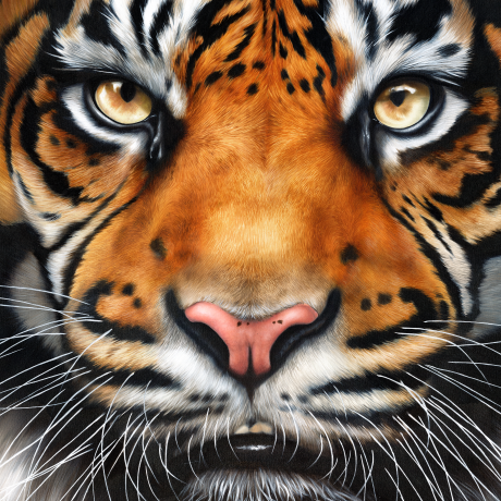 Daseep_Rachel-Stubbs-Art